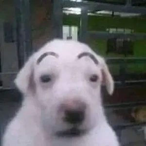 waulyx's profile photo