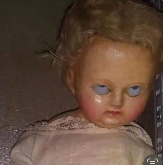 Amy's profile photo Amy's profile photo