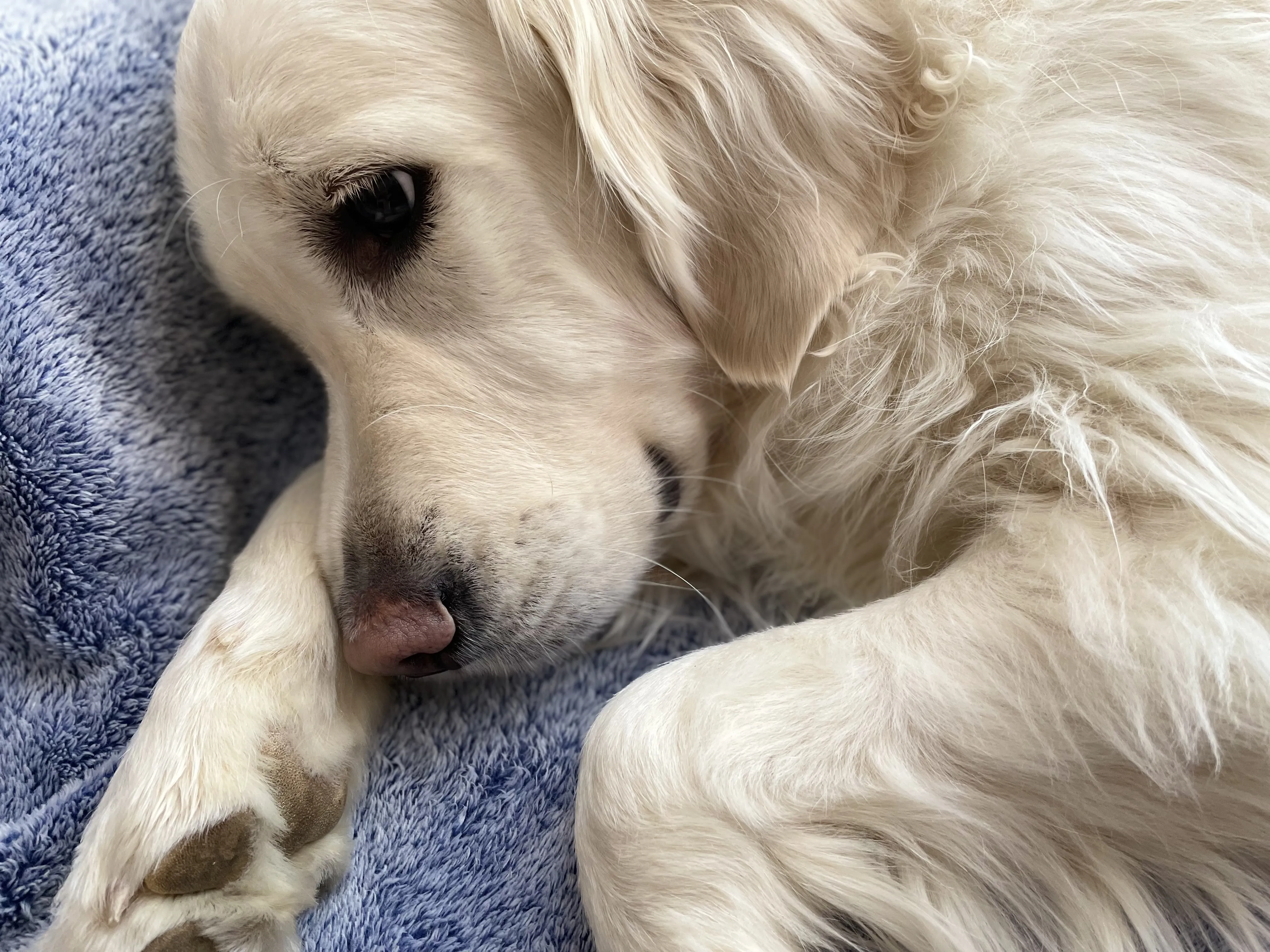 Almu's profile photo