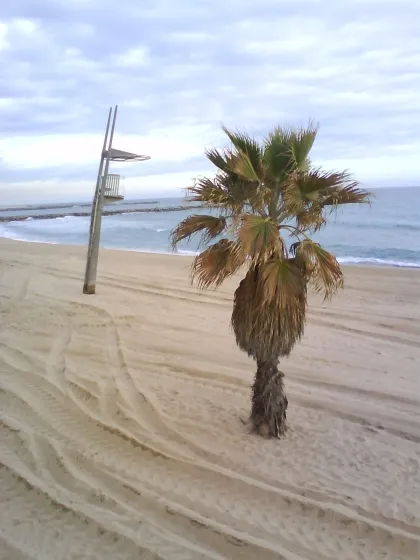 PeterNut's profile photo PeterNut's profile photo