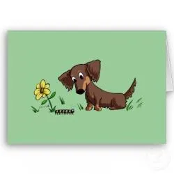 Vero's profile photo Vero's profile photo