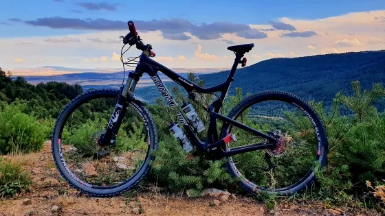 Shark's profile photo Shark's profile photo