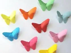 escarolina's profile photo escarolina's profile photo