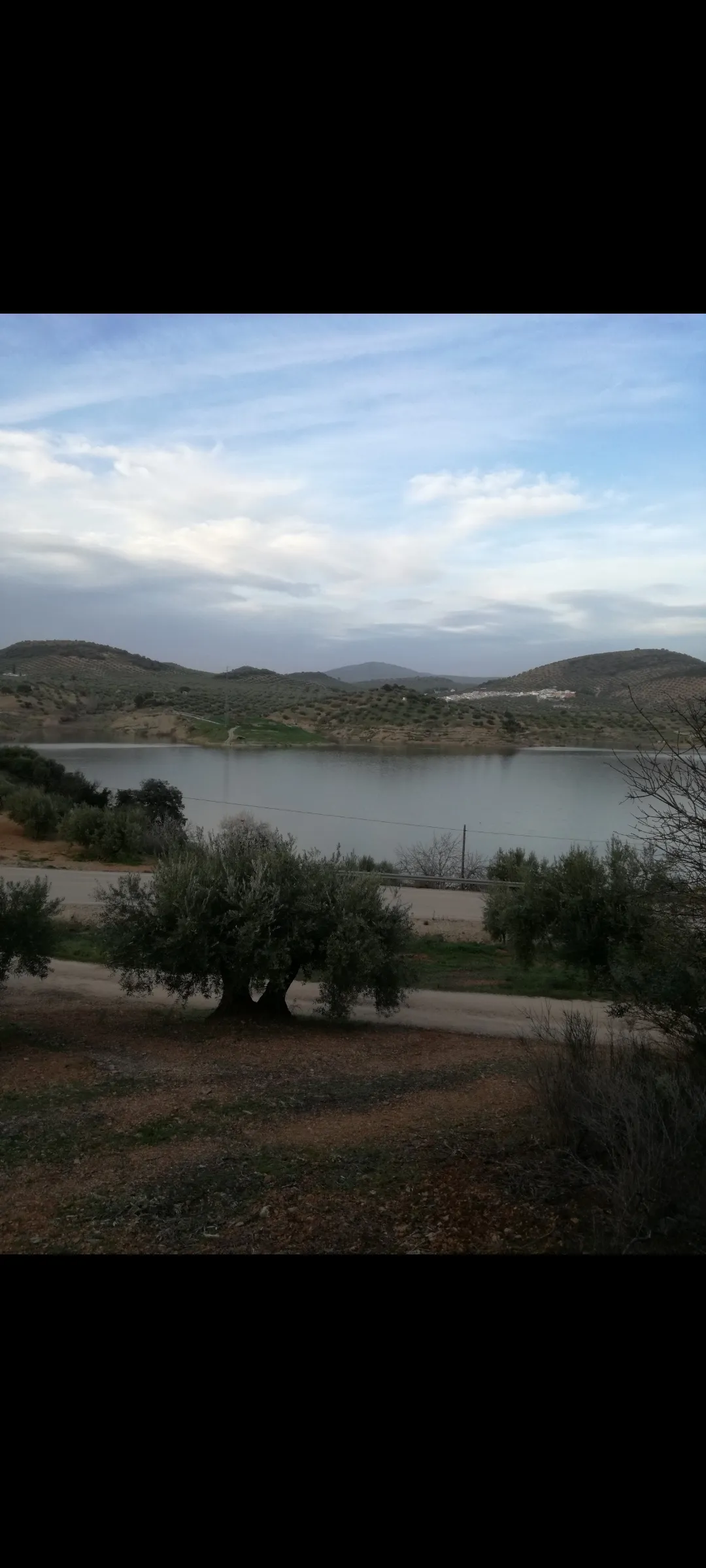 Sorprendido's profile photo Sorprendido's profile photo