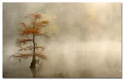 fergonzalez73's profile photo fergonzalez73's profile photo