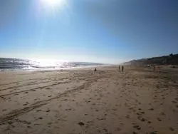 juanpagsr's profile photo juanpagsr's profile photo