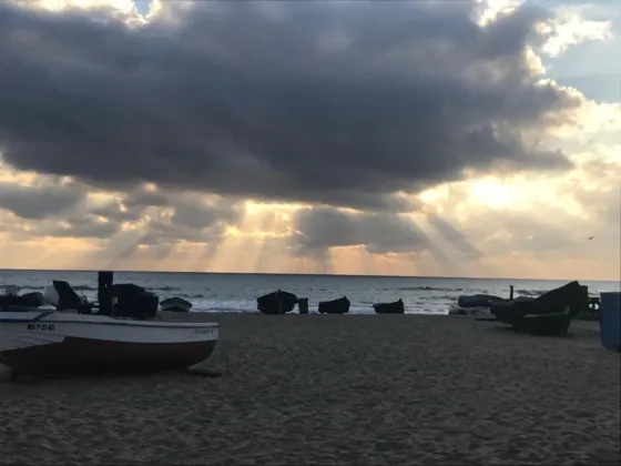 marigu's profile photo marigu's profile photo