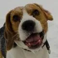 tica's profile photo tica's profile photo