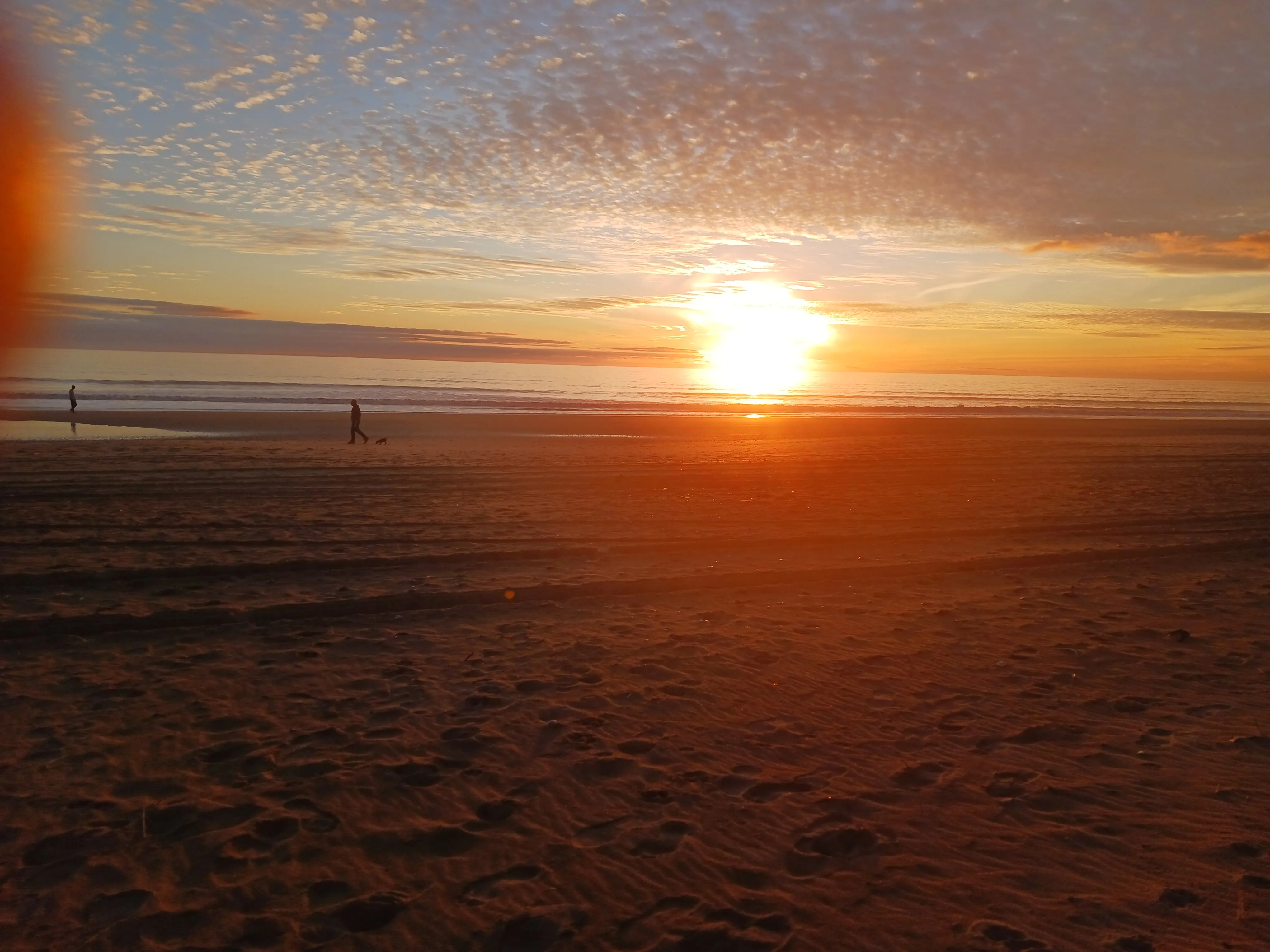 alber1's profile photo