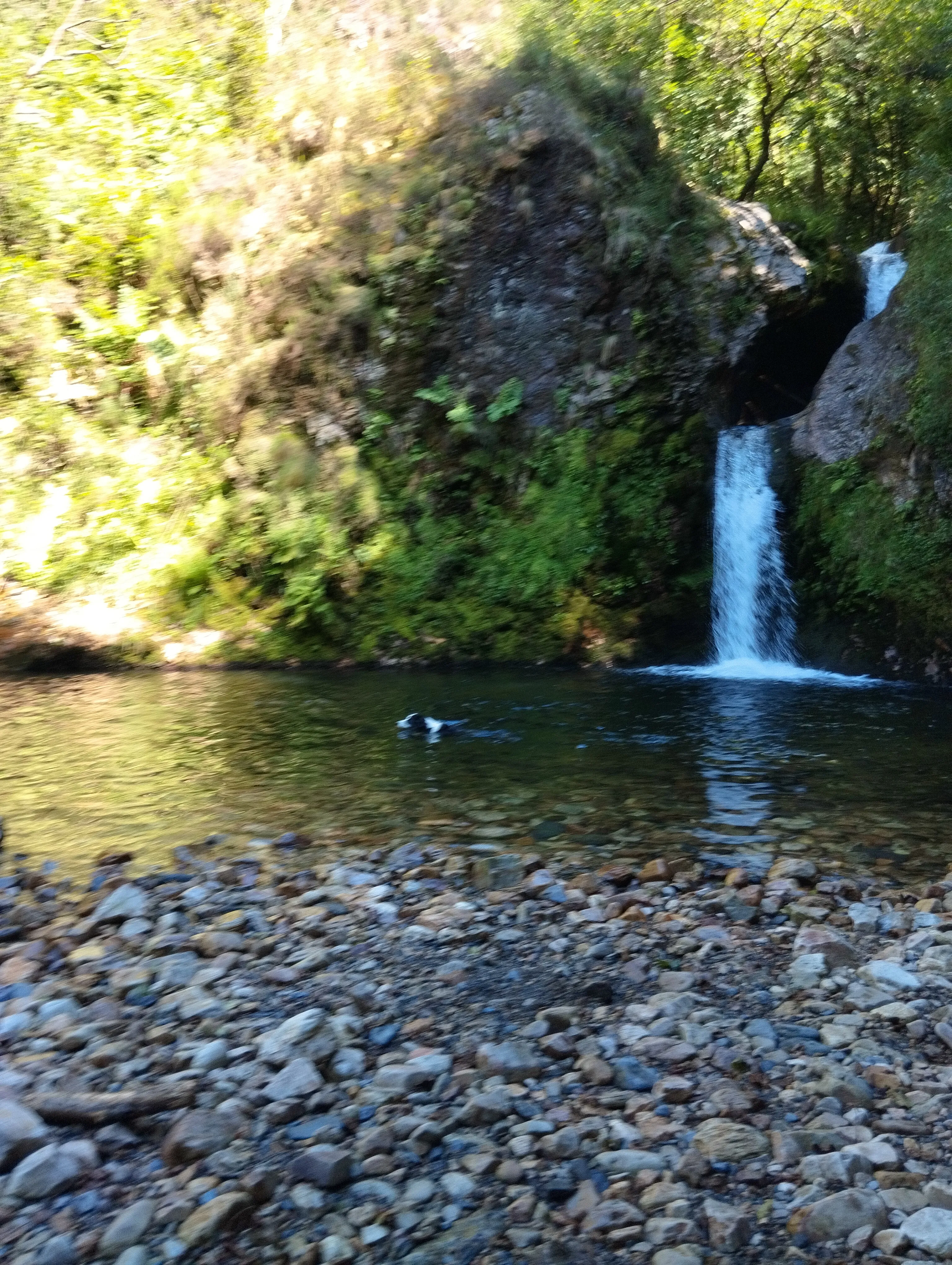 Maguina's profile photo