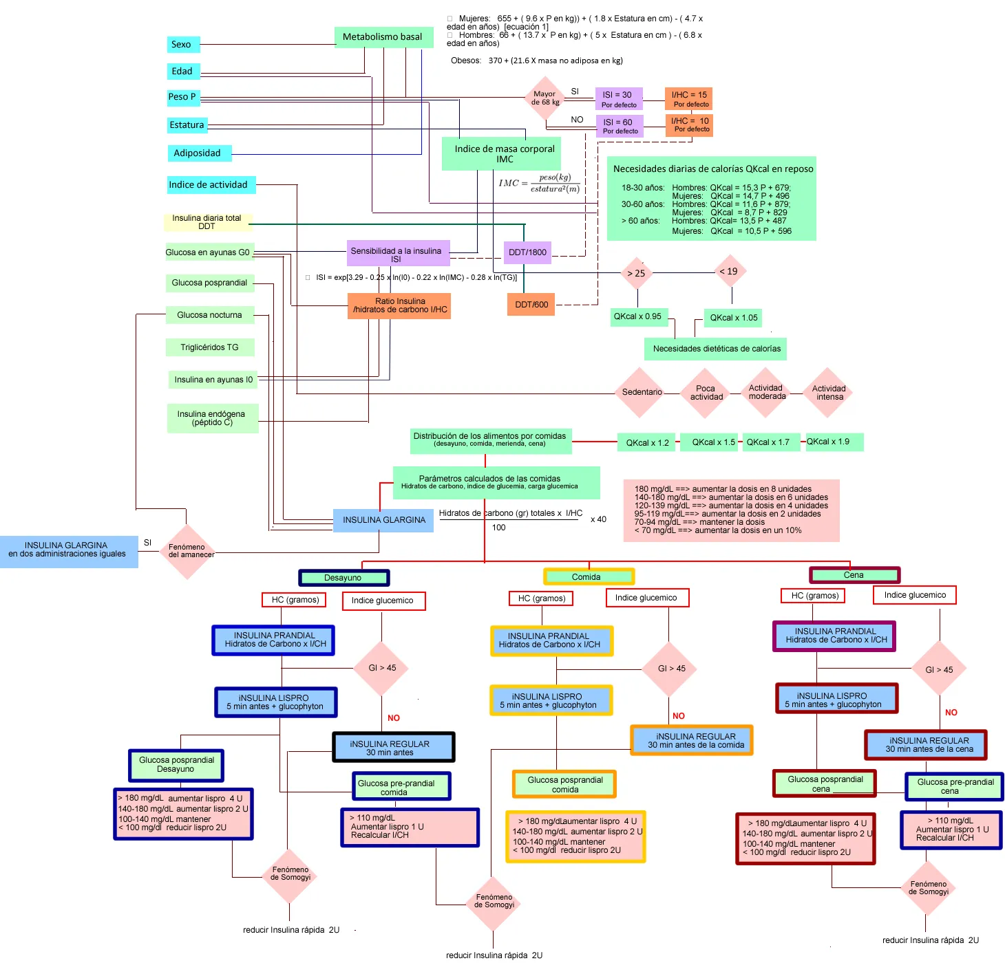 {'en': 'Algorithm for calculating insulin needs', 'es': 'Algoritmo para el cálculo de las necesidades de insulina'} Image {'en': 'Algorithm for calculating insulin needs', 'es': 'Algoritmo para el cálculo de las necesidades de insulina'} Image