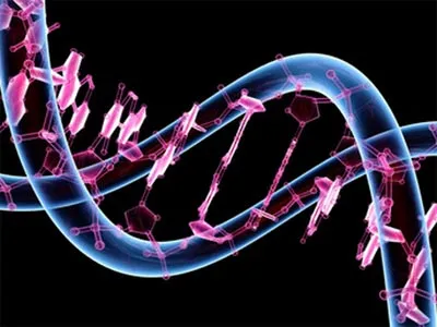 {'en': 'New custom diabetes approaches are sought', 'es': 'Se buscan nuevos enfoques personalizados contra la diabetes'} Image {'en': 'New custom diabetes approaches are sought', 'es': 'Se buscan nuevos enfoques personalizados contra la diabetes'} Image