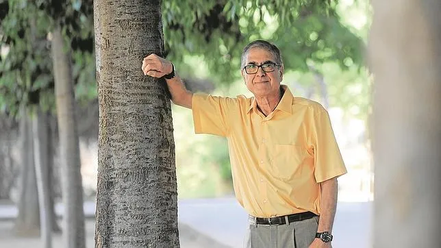 {'en': 'Bisturí to say goodbye to type 2 diabetes', 'es': 'Bisturí para decir adiós a la diabetes tipo 2'} Image {'en': 'Bisturí to say goodbye to type 2 diabetes', 'es': 'Bisturí para decir adiós a la diabetes tipo 2'} Image