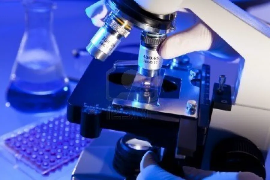{'en': 'I am successfully advanced an insulin vaccine against type 1 diabetes (research)', 'es': 'Avanza con éxito una vacuna de insulina contra la diabetes tipo 1 (Investigación)'} Image {'en': 'I am successfully advanced an insulin vaccine against type 1 diabetes (research)', 'es': 'Avanza con éxito una vacuna de insulina contra la diabetes tipo 1 (Investigación)'} Image