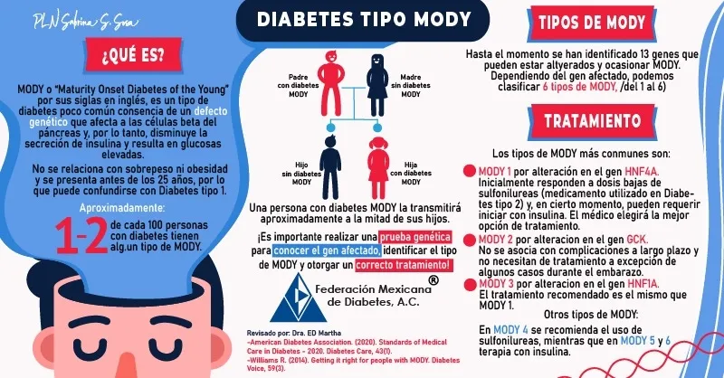 {'en': 'Diabetes Mody', 'es': 'Diabetes Mody'} Image {'en': 'Diabetes Mody', 'es': 'Diabetes Mody'} Image