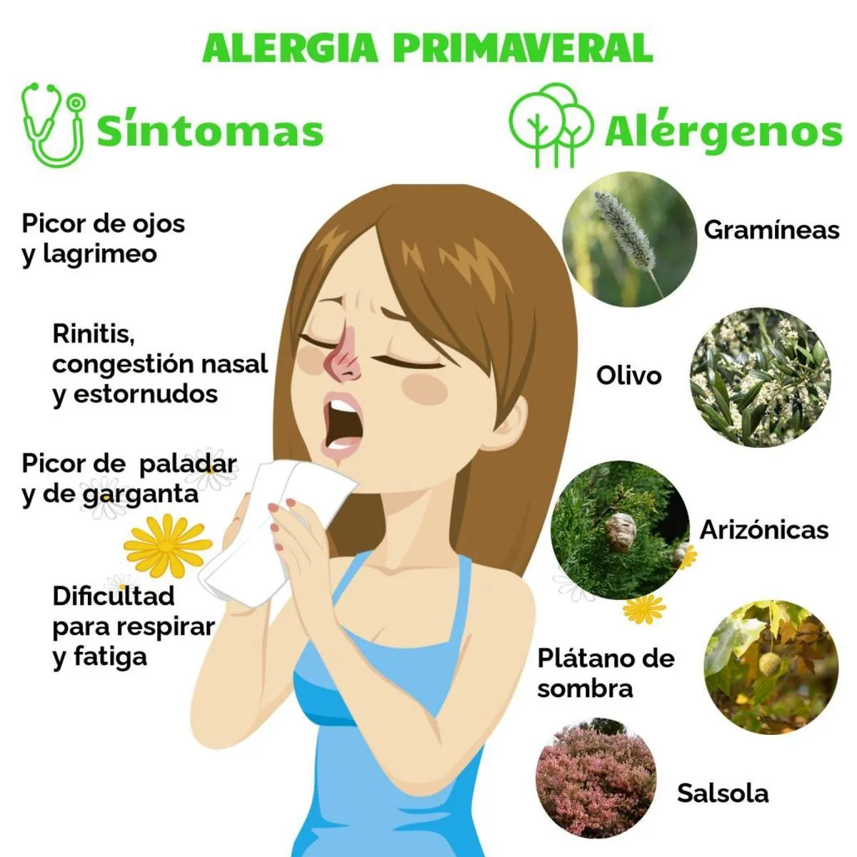 {'en': 'Diabetes and spring allergy', 'es': 'Diabetes y alergia primaveral'} Image