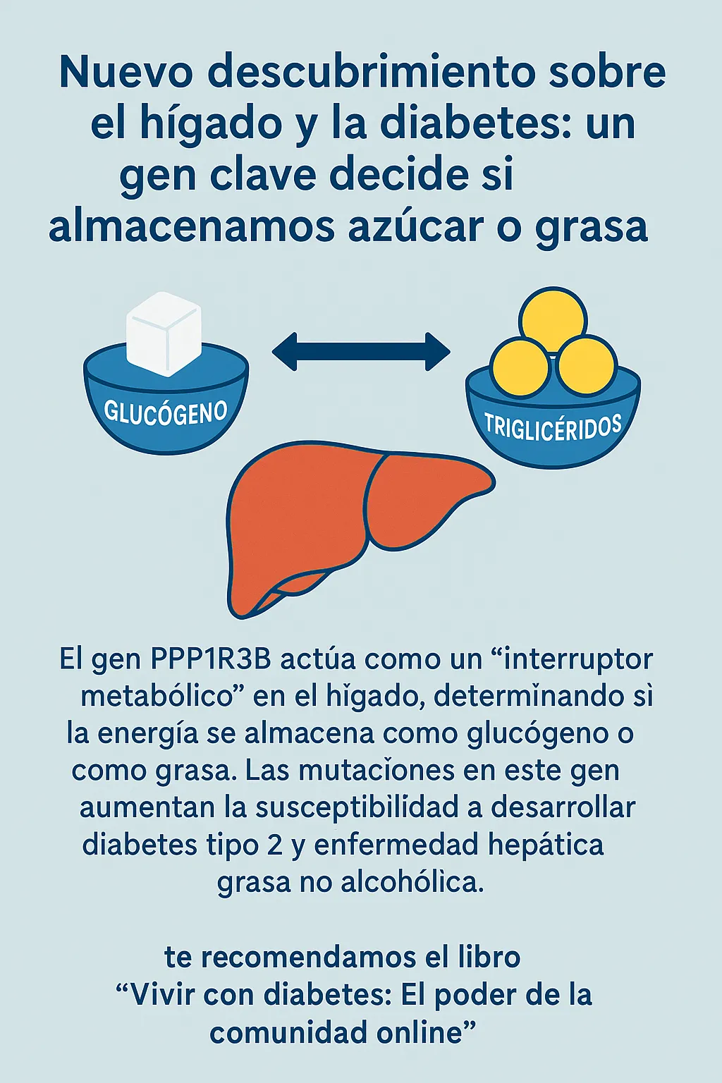 {'en': 'Sugar or fat?The gene that decides in your liver', 'es': '¿Azúcar o grasa? El gen que lo decide en tu hígado'} Image