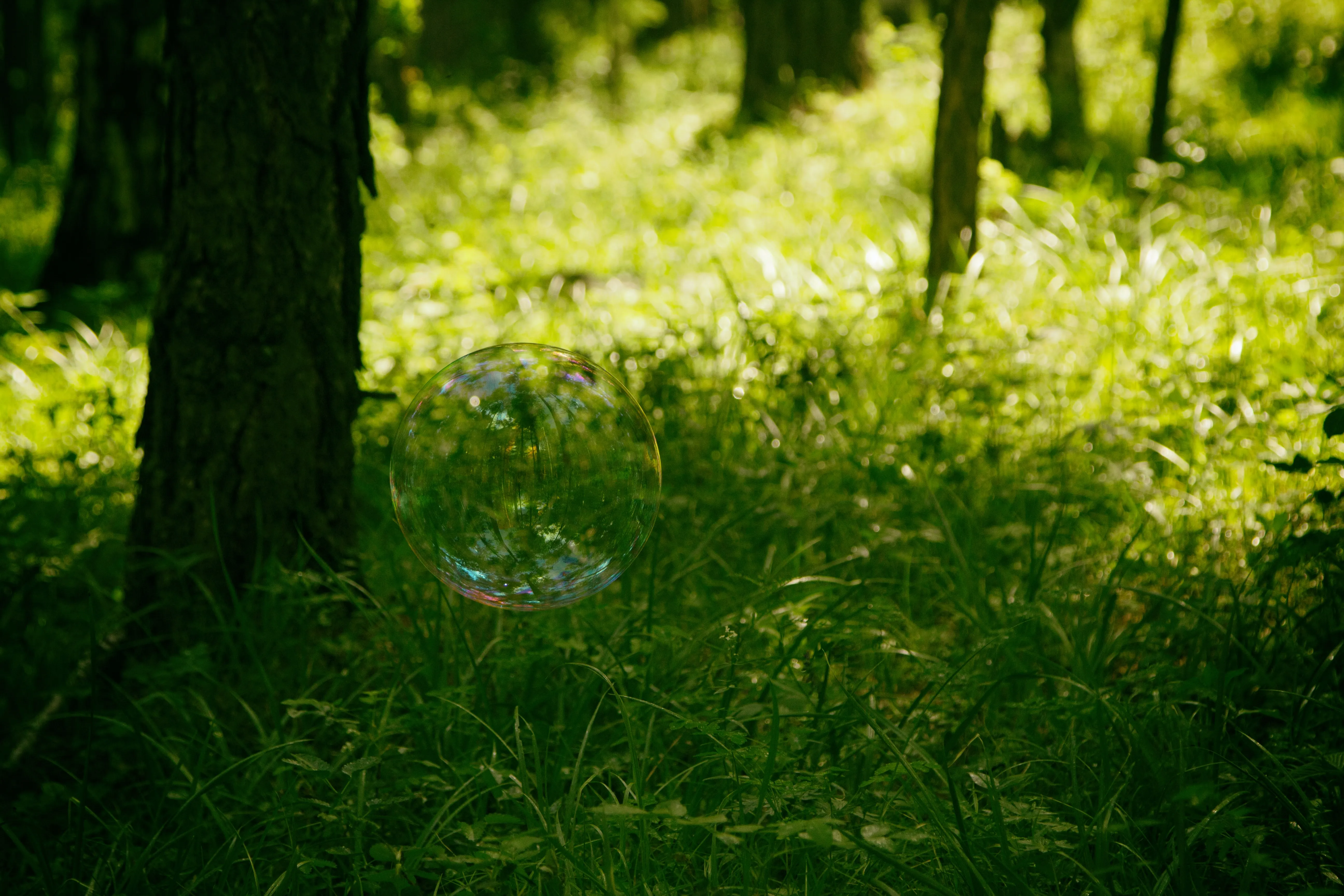 {'en': 'Diabox alarms in the mobile', 'es': 'Alarmas en el Diabox en el Movil'} Image