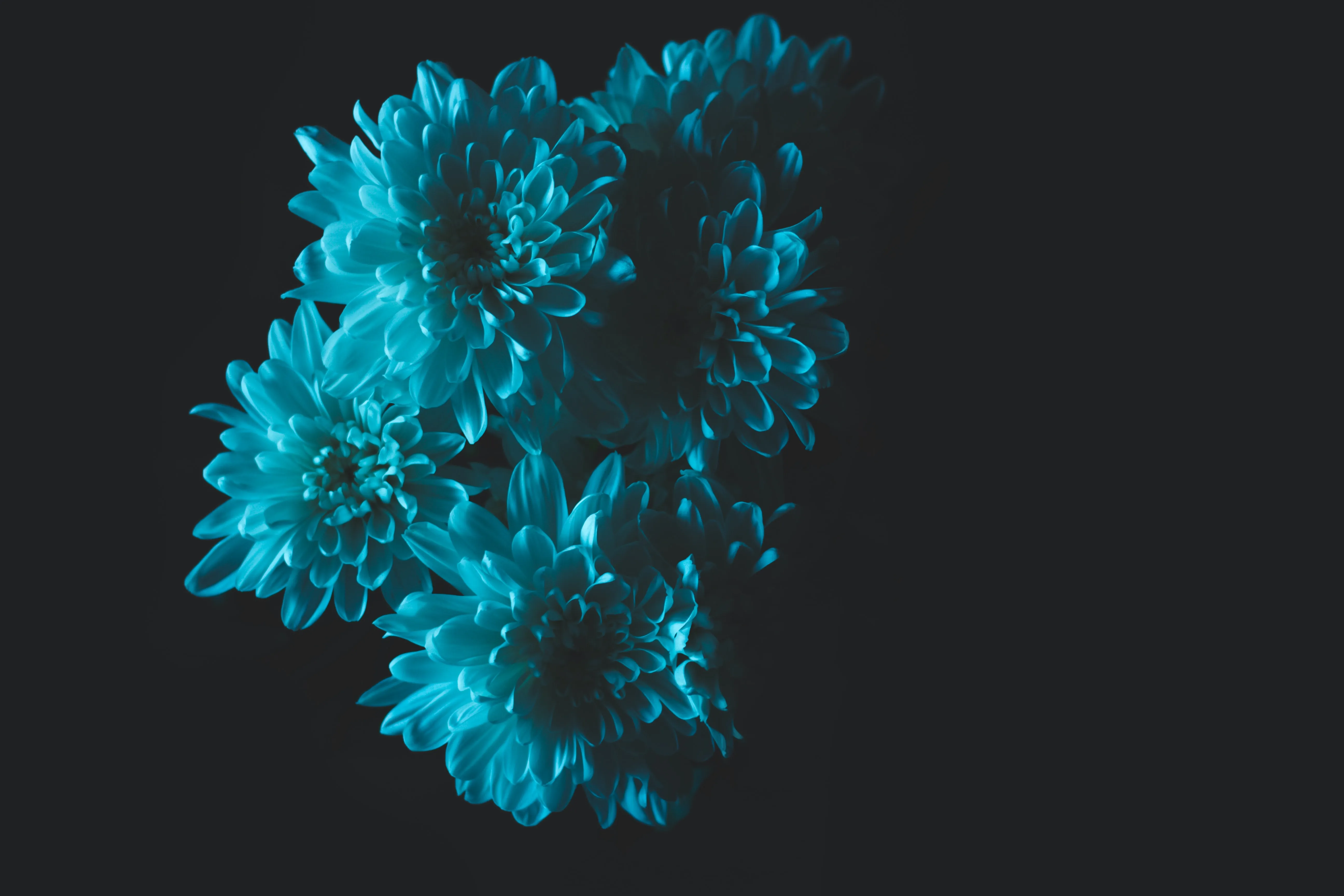 {'en': 'Travel by plane with Novopen', 'es': 'Viajar en avión con novopen'} Image