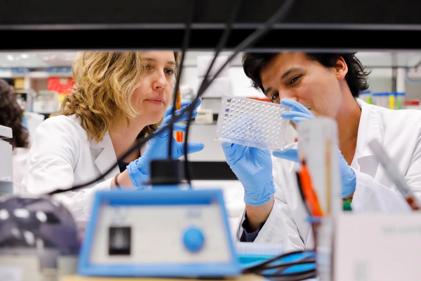 {'en': 'Only 2% of diabetes investigations are looking for a cure', 'es': 'Sólo el 2% de las investigaciones en diabetes buscan una cura'} Image