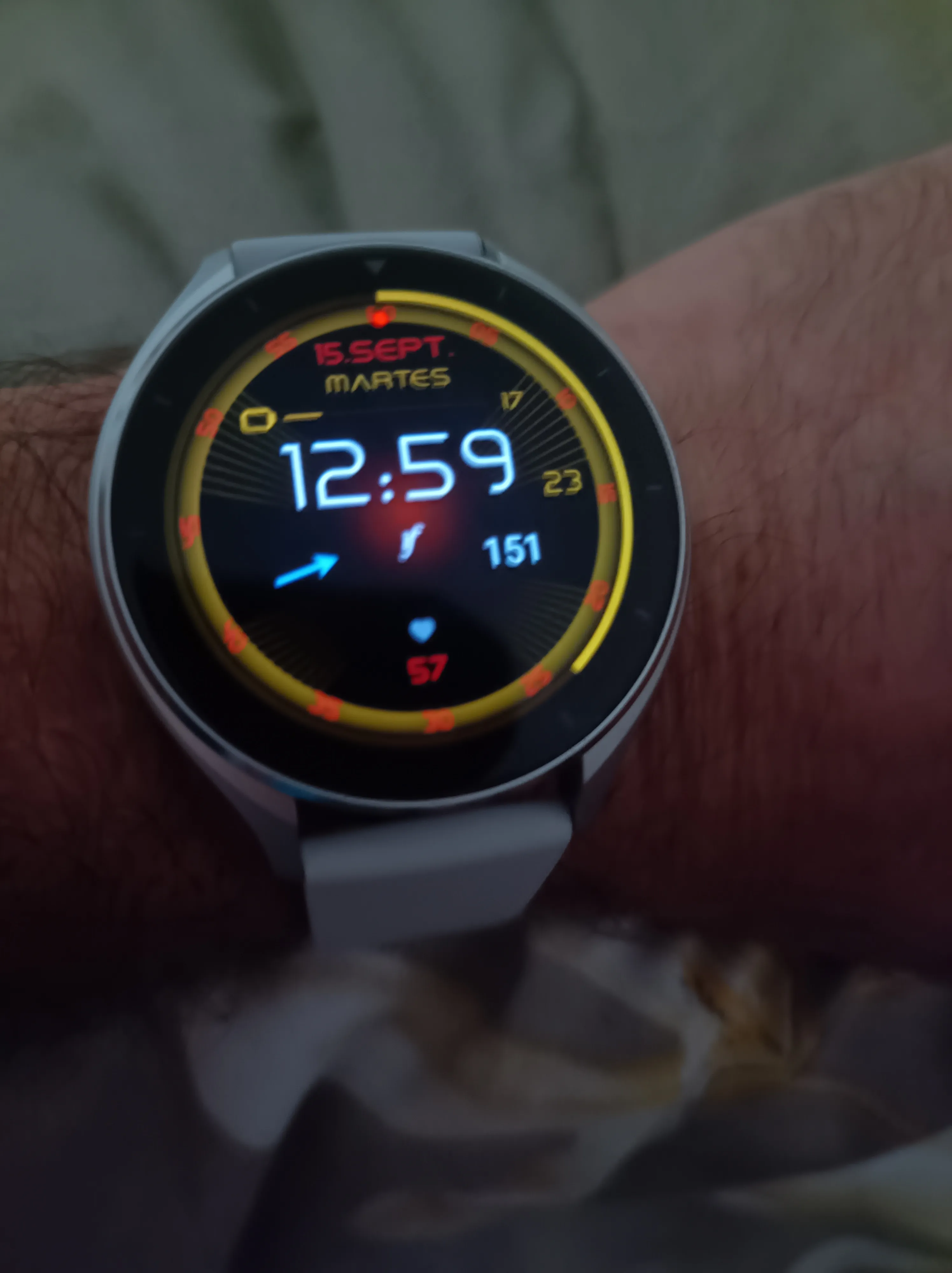 {'en': 'Usar Reloj para el FreeStyle Libre', 'es': 'Usar Reloj para el FreeStyle Libre'} Image