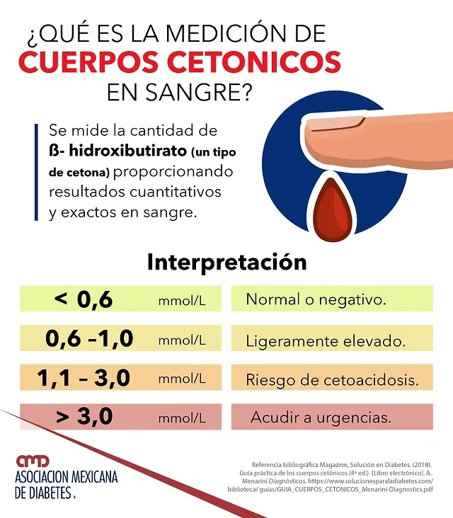 {'en': 'Blood ketone bodies', 'es': 'Cuerpos Cetónicos en sangre'} Image {'en': 'Blood ketone bodies', 'es': 'Cuerpos Cetónicos en sangre'} Image