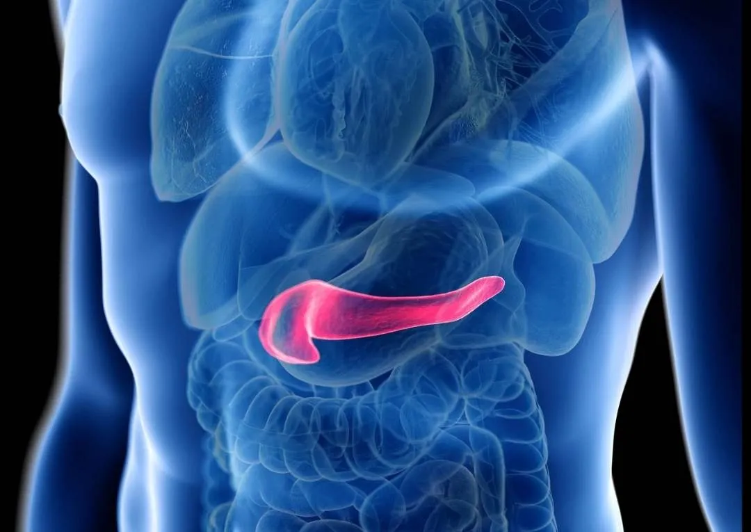 {'en': 'Pancreas transplant for people with diabetes, does it work or not?', 'es': 'Trasplante de páncreas para personas con diabetes, ¿funciona o no?'} Image {'en': 'Pancreas transplant for people with diabetes, does it work or not?', 'es': 'Trasplante de páncreas para personas con diabetes, ¿funciona o no?'} Image