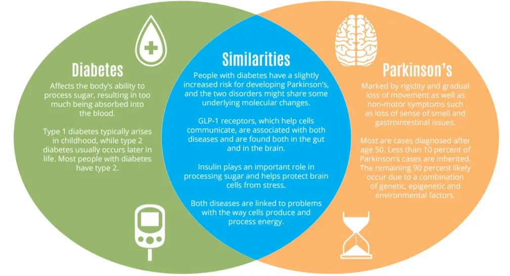 {'en': "There could be a link between type 2 diabetes and Parkinson's disease (study)", 'es': 'Podría existir un vínculo entre la diabetes tipo 2 y la enfermedad de Parkinson (Estudio)'} Image {'en': "There could be a link between type 2 diabetes and Parkinson's disease (study)", 'es': 'Podría existir un vínculo entre la diabetes tipo 2 y la enfermedad de Parkinson (Estudio)'} Image