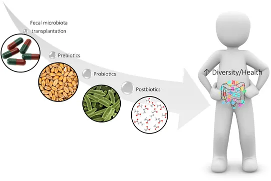 {'en': 'A greater knowledge of the microbioma would help in the prevention of allergies and diabetes', 'es': 'Un mayor conocimiento del microbioma ayudaría en la prevención de alergias y diabetes'} Image {'en': 'A greater knowledge of the microbioma would help in the prevention of allergies and diabetes', 'es': 'Un mayor conocimiento del microbioma ayudaría en la prevención de alergias y diabetes'} Image