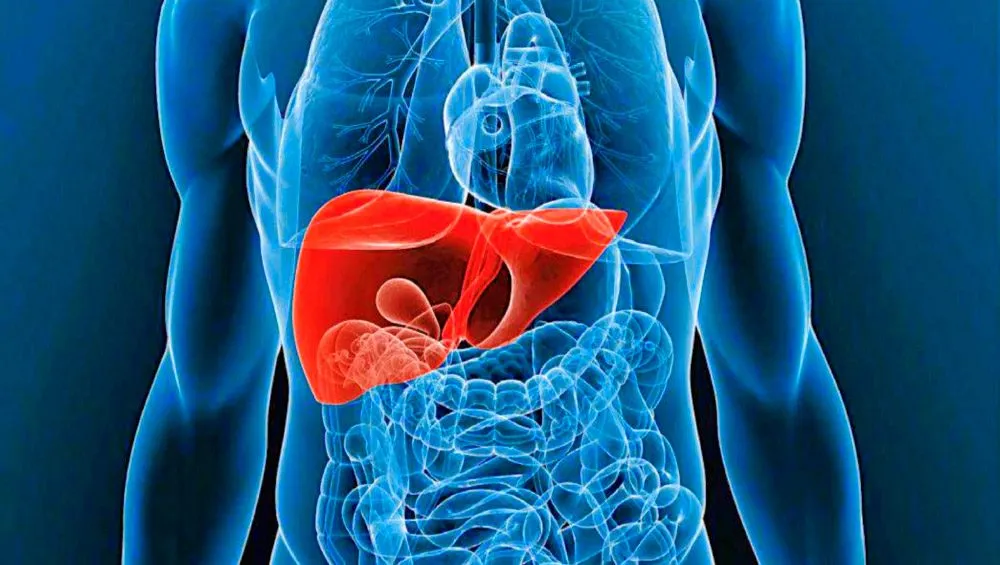 {'en': '7 out of 10 people with diabetes have a fatty liver', 'es': 'Un 7 de cada 10 personas con diabetes tienen el hígado graso'} Image {'en': '7 out of 10 people with diabetes have a fatty liver', 'es': 'Un 7 de cada 10 personas con diabetes tienen el hígado graso'} Image