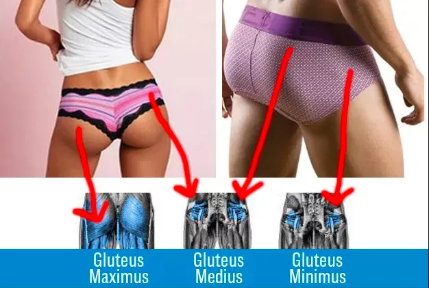 {'en': 'How is a sensor placed in the buttock?', 'es': 'Cómo se coloca un sensor en el glúteo?'} Image {'en': 'How is a sensor placed in the buttock?', 'es': 'Cómo se coloca un sensor en el glúteo?'} Image