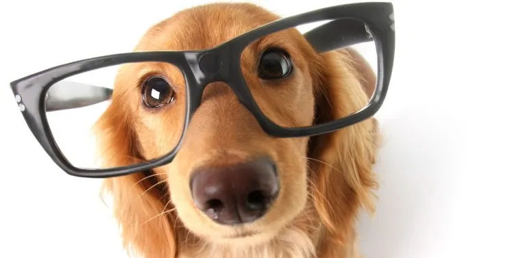 {'en': 'Five curiosities about diabetes that you probably do not know', 'es': 'Cinco curiosidades sobre la diabetes que probablemente desconoces'} Image {'en': 'Five curiosities about diabetes that you probably do not know', 'es': 'Cinco curiosidades sobre la diabetes que probablemente desconoces'} Image