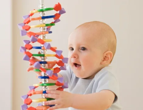 {'en': 'Detected a precursor sign of type 1 diabetes from the first year of life', 'es': 'Detectado un signo precursor de la diabetes tipo 1 desde el primer año de vida'} Image {'en': 'Detected a precursor sign of type 1 diabetes from the first year of life', 'es': 'Detectado un signo precursor de la diabetes tipo 1 desde el primer año de vida'} Image