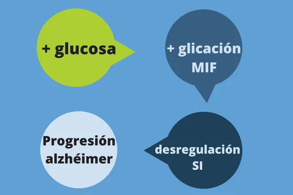 {'en': "Why excess sugar raises your risk of developing Alzheimer's", 'es': 'Por qué el exceso de azúcar eleva tu riesgo de desarrollar alzhéimer'} Image {'en': "Why excess sugar raises your risk of developing Alzheimer's", 'es': 'Por qué el exceso de azúcar eleva tu riesgo de desarrollar alzhéimer'} Image
