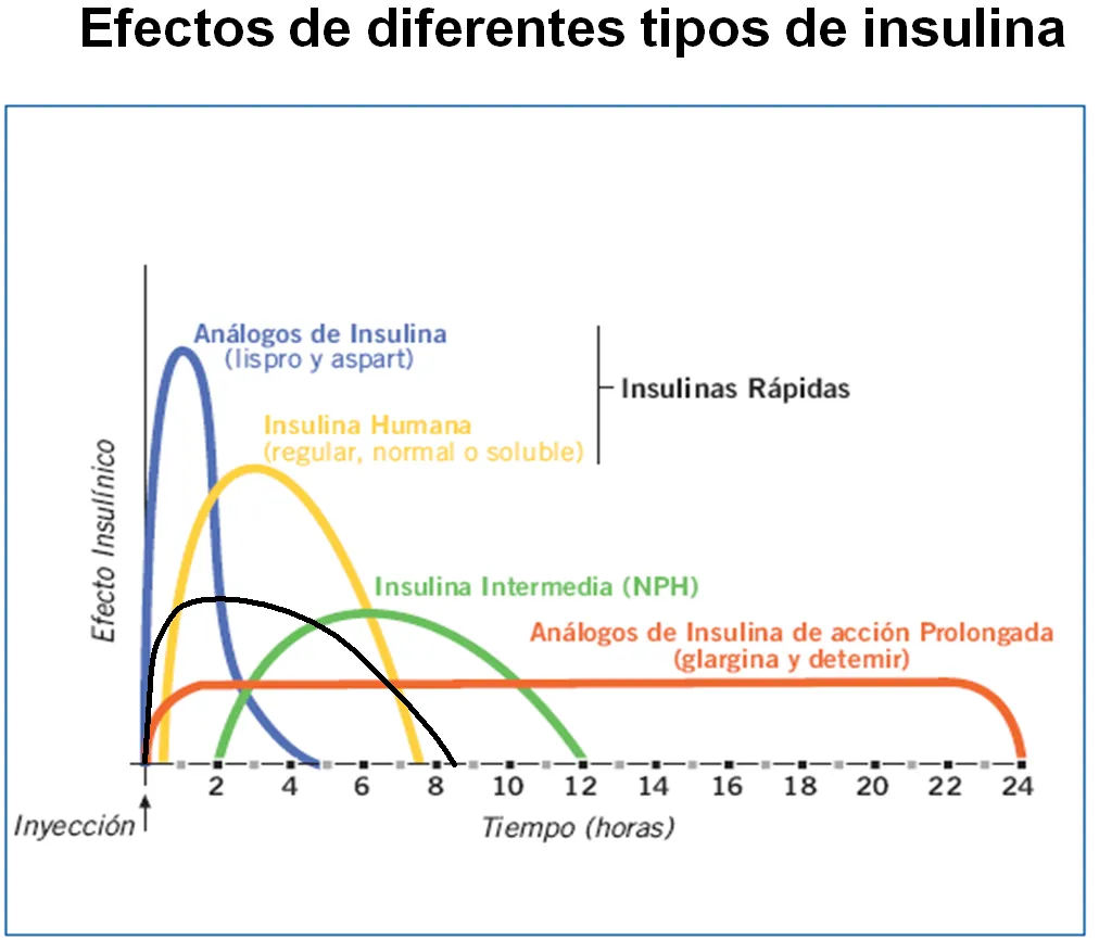 {'en': 'The basics about insulin', 'es': 'Lo básico sobre la insulina'} Image {'en': 'The basics about insulin', 'es': 'Lo básico sobre la insulina'} Image