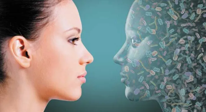 {'en': 'Environmental genes and factors in type 2 diabetes, an increasingly solid connection', 'es': 'Genes y factores ambientales en diabetes tipo 2, una conexión cada vez más sólida'} Image {'en': 'Environmental genes and factors in type 2 diabetes, an increasingly solid connection', 'es': 'Genes y factores ambientales en diabetes tipo 2, una conexión cada vez más sólida'} Image