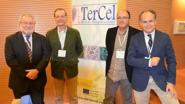 {'en': 'Stem cells are already used in the treatment of diabetes', 'es': 'Las células madre ya se utilizan en el tratamiento de la diabetes'} Image {'en': 'Stem cells are already used in the treatment of diabetes', 'es': 'Las células madre ya se utilizan en el tratamiento de la diabetes'} Image