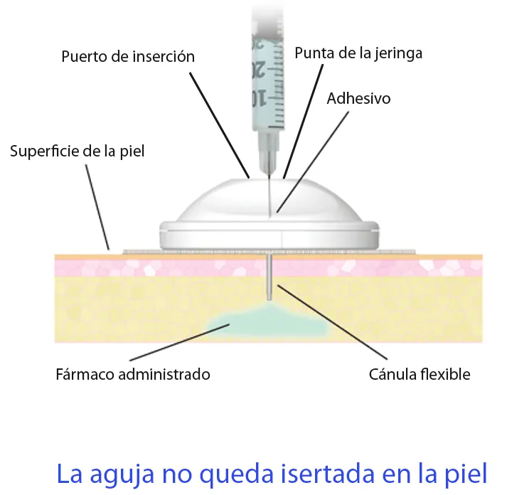 {'en': 'IPort', 'es': 'Iport'} Image {'en': 'IPort', 'es': 'Iport'} Image